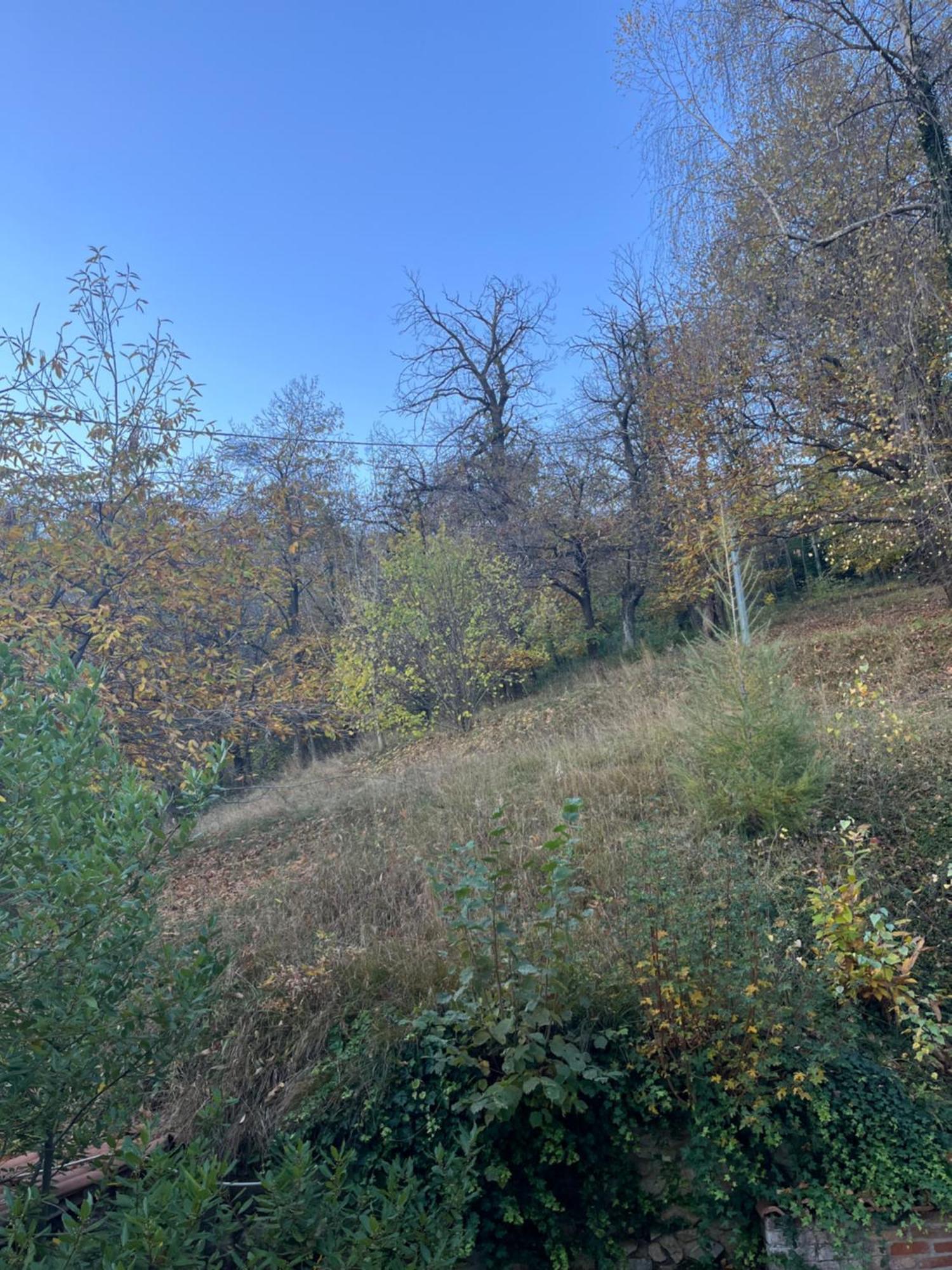 بورغو سان دالمازو Il Bosco Incantato المظهر الخارجي الصورة